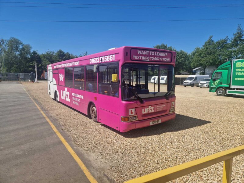 Petersmythebus